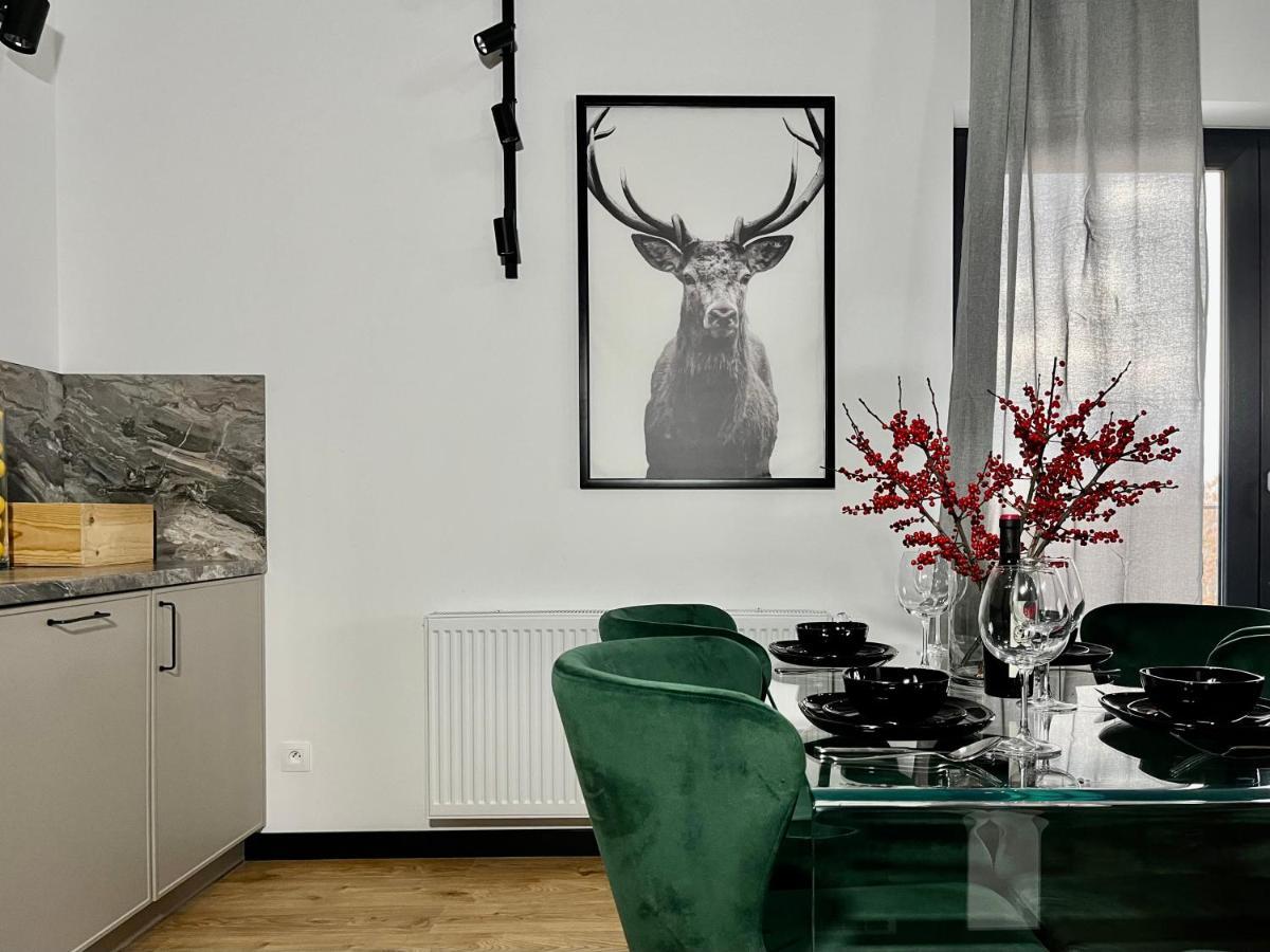 Apartamenty Maxa Czornyja Jelenia Gora Bagian luar foto